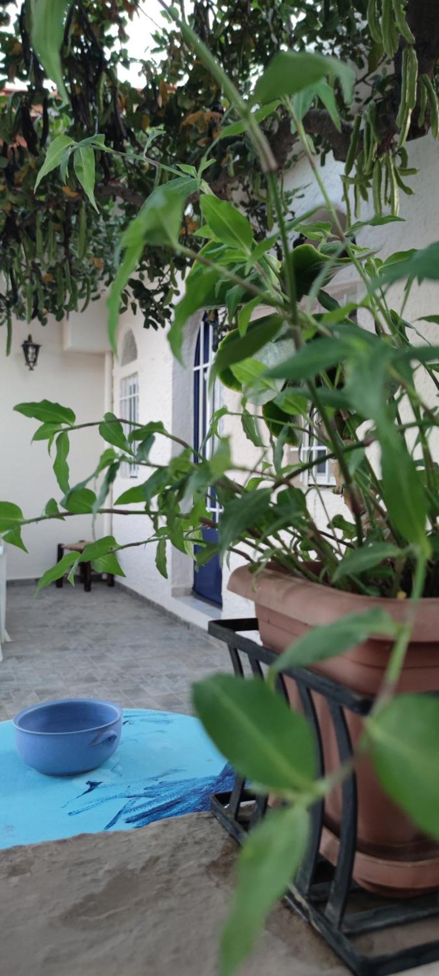 Hotel Eliza Agios Nikolaos  Exterior photo